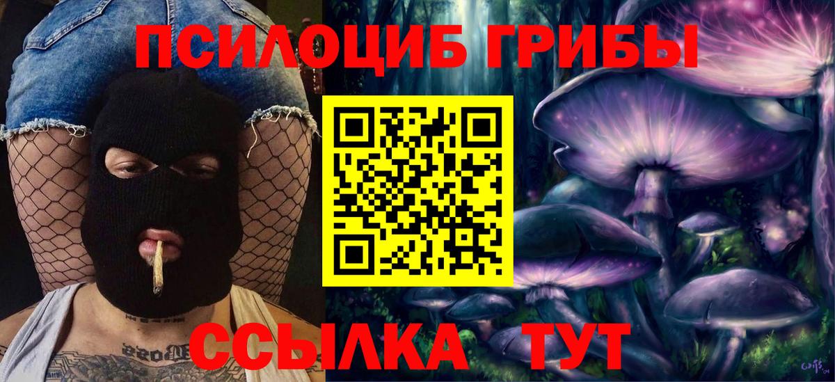 Старая Купавна  Псилоцибиновые грибы MAGIC MUSHROOMS  Вход с VPN  Псилоцибиновые грибы Psilocybe 