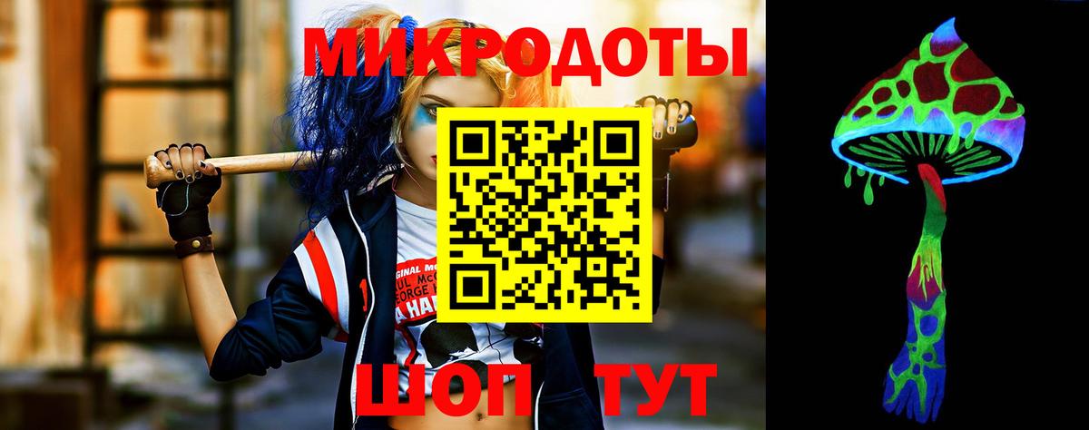 Галлюциногенные грибы Psilocybine cubensis Старая Купавна
